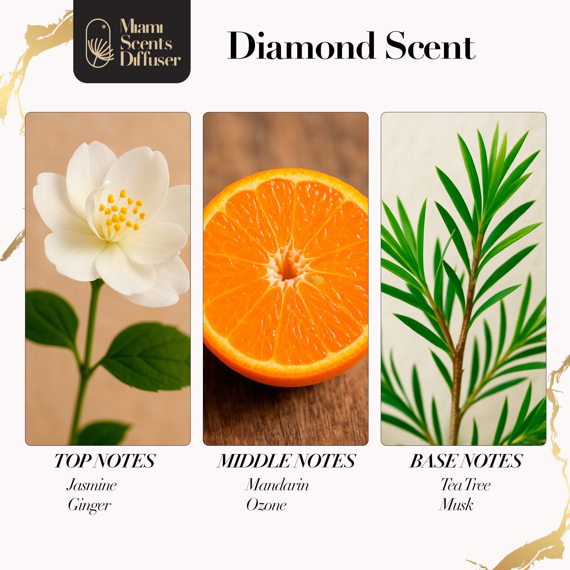 Diamond Touch