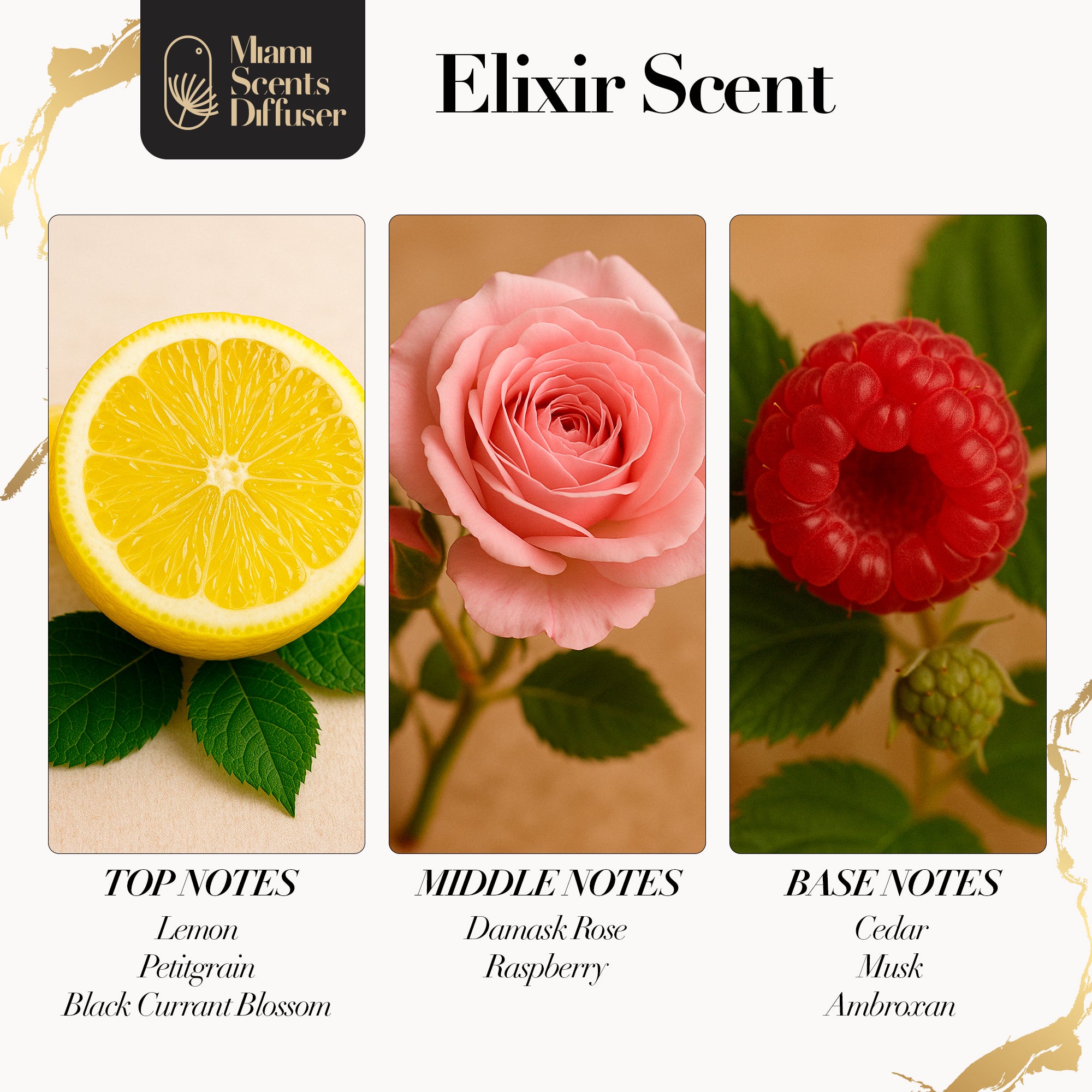 Elixir Bliss