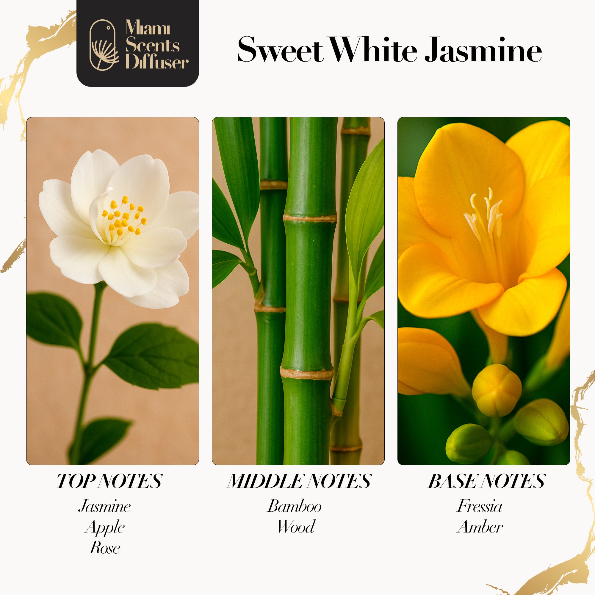White Jasmine Bloom