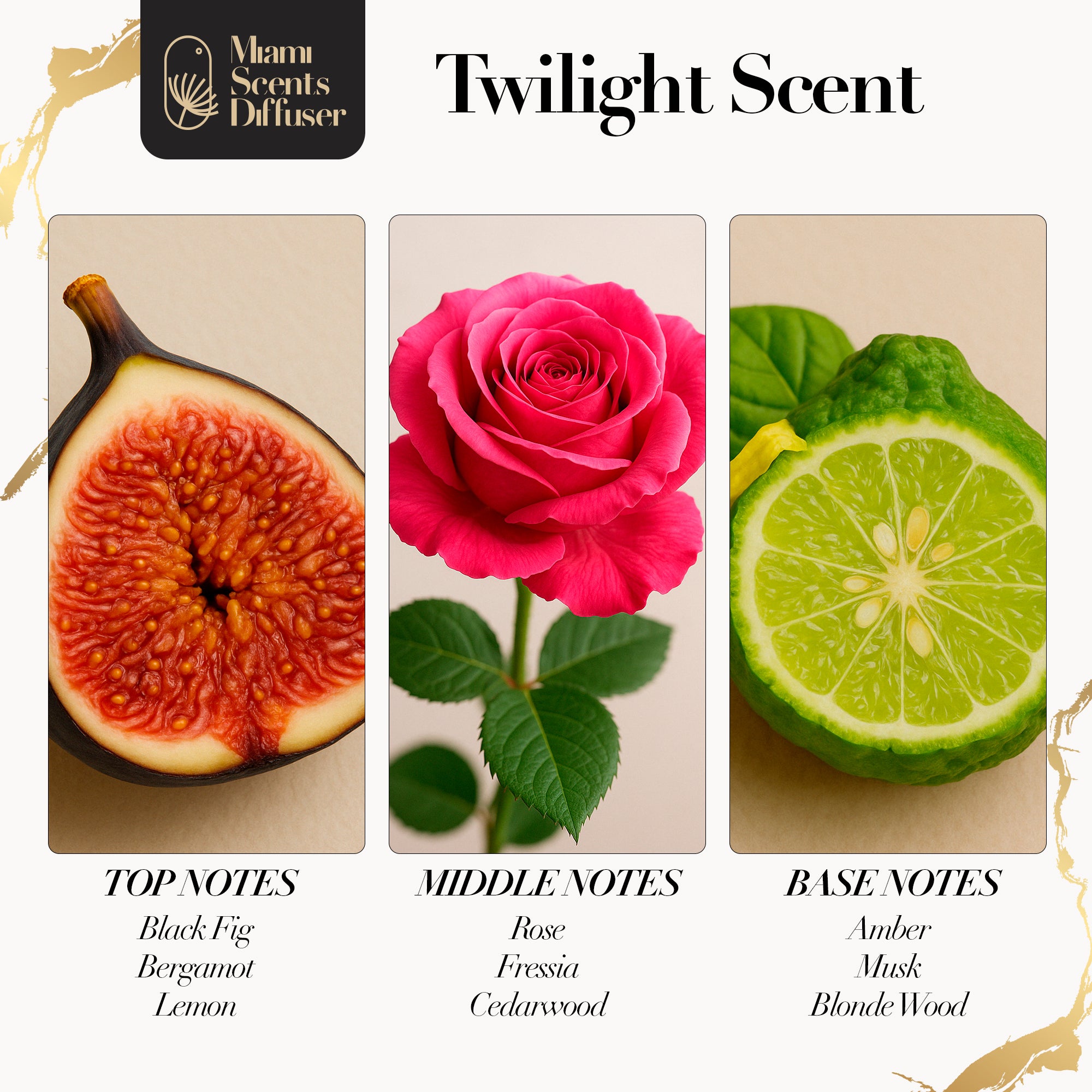 Twilight After Hours