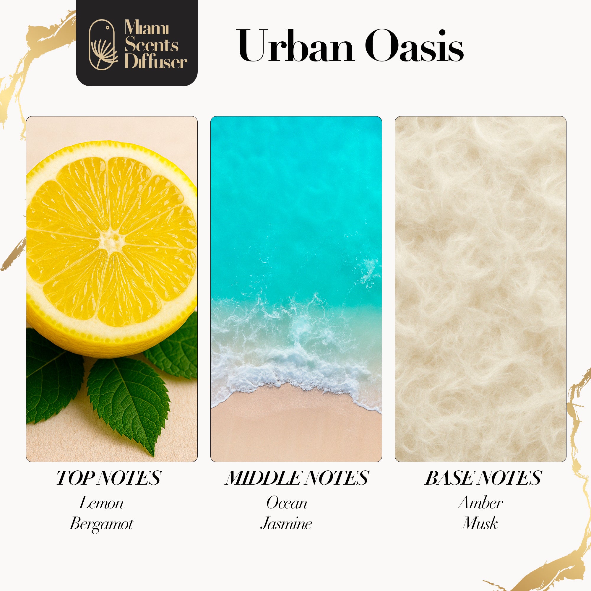 Urban Coast