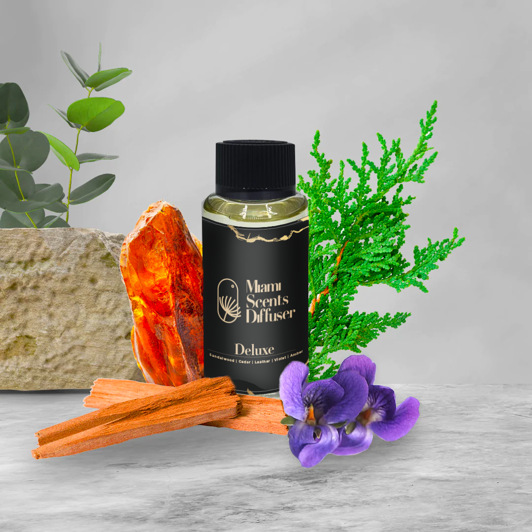 Set de 6 Aceites Esenciales Naturales para Humidificador y Aromaterapia –  Shopavia